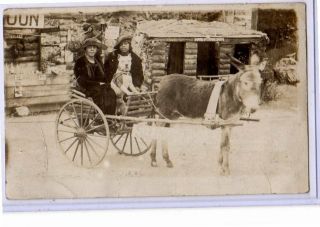 Studio Real Photo Postcard Rppc - Two Black Women And Pit Bull Dog In Donkey Cart