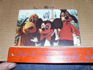 Pluto Goofy Walt Disney World Mickey Mouse Magic Kingdom Welcome Castle Park