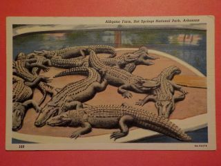 Arkansas,  Hot Springs Alligator Farm 1938 Unus Postcards