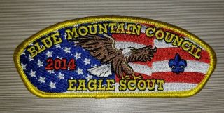 Boy Scout Blue Mountain Council 2014 Eagle Scout Csp/sap Tough