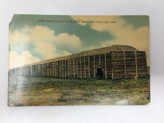 Big V Ranch Near Ponca City Ok 60000 Bushel Of Corn Special Colored Postcard