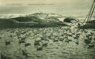Norway,  Spitsbergen Svalbard,  Green Harbour,  Hvalstation Whaling (1910s) Oppi 4
