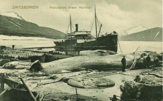 Norway,  Spitsbergen Svalbard,  Green Harbour,  Hvalstation Whaling (1910s) Oppi 3