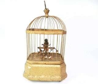 Antique Mechanical Tweeting Bird In Cage Automaton - Early 1900 