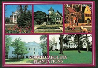 South Carolina Plantations Boone Hall Historic Homes Fort Hill Postcard