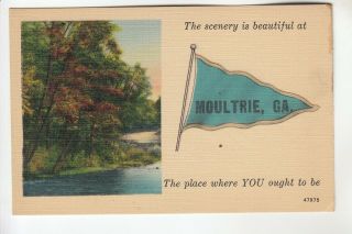 Blue Printed Pennant Scenery Is At Moultrie Ga