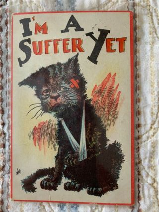 1912 Antique Woman Suffrage Anti Votes For Women Postcard Cat Suffragette