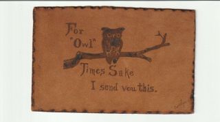 1905 Owl Leather Postcard - To Moultrieville Sc