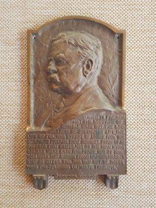 Theodore (teddy) Roosevelt Bronze Bas - Relief Plaque