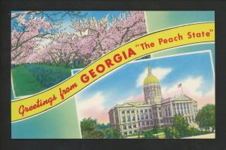 Postcard Greetings From Georgia Ga Peach Blossoms Capitol Building Chrome