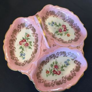 Vintage Hand Painted Pate de Limoges Couleuvre France Porcelain Divided Dish 2