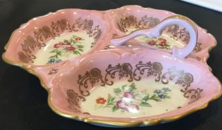 Vintage Hand Painted Pate de Limoges Couleuvre France Porcelain Divided Dish 3