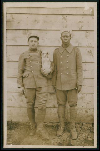 Almost Surrealist Black Soldier Dog In Wwi Ww1 War 1910s Photo Postcard
