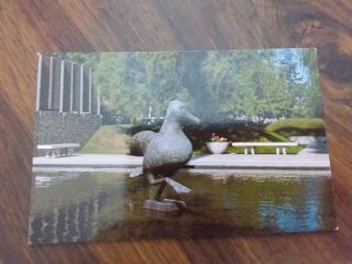 The Great Gull,  Pacific Science Center,  Seattle Washington Postcard