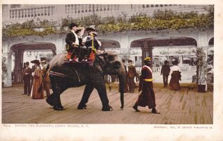 Old Vintage Coney Island Ny Postcard Riding The Elephant