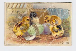 Ppc Postcard Easter Chicks With Decorated Eggs Gold Embossed Tuck & Sons