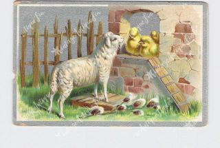 Ppc Postcard Easter Chicks With Lamb Silver Background