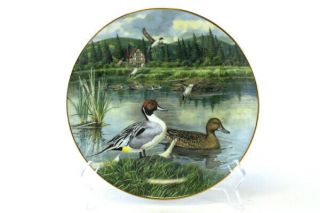 Knowles Plate The Pintail Living With Nature Jerners Ducks 1986
