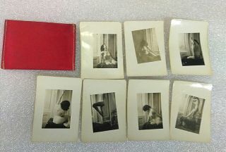 Vintage Nude Woman Small Photographs Set Of 7 Circa 1950 