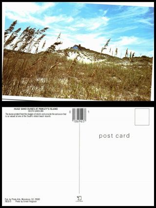 Usa Postcard Huge Sand Dunes At Pawleys Island,  South Carolina (pc1)