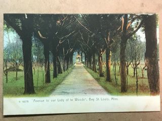 Bay St.  Louis Miss.  Mississippi Antique Postcard Avenue To Lady Of Woods Udb1907