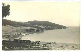 Turkey Ca 1940 Halki Island Region Of Agricultural School Vintage Rppc Postcard