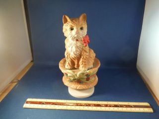 Tabby Cat In A Basket " Talk To The Animals " Music Box