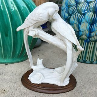 Giuseppe Armani Figurine Parakeets Parrots Bird Statue Glossy Ivory Finish Italy 6