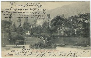 Hong Kong 1904 Postcard Public Garden Teo Reign Franking To Austria