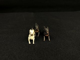 Set Of 3 Vintage Cold Painted Austrian Vienna Bronze Dogs