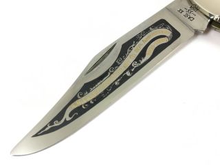 1985 Case XX Hunter Knife STAG 5166 SS 80th Anniversary Limited Edition 2263 - PP 4