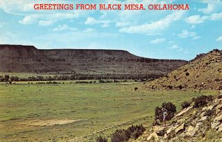 Q23 - 0928,  Greetings From Black Mesa,  Okla. ,  Postcard.