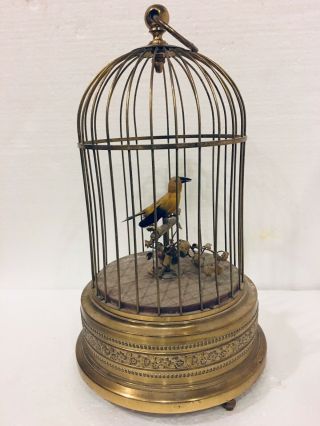Antique Singing Bird Cage Music Box Mechanical Bird Moves & Beak Opens No Sound