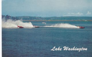 Seafair Hydroplane Boat Races Seattle Washington Postcard 1960 