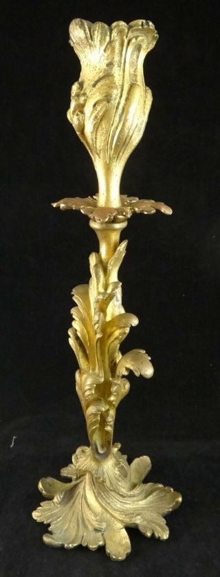 French Louis Xv Style Gilt Bronze Natural Form Candlestick,  19th C.  11 ¾” Tall.
