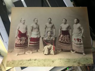 c1870s JAPAN Large Albumen Photo 5 SUMO WRESTLERS by KIMBEI Great TINTING 5