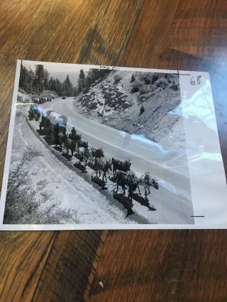 Pollock Pines Placerville Lake Tahoe Highway 50 Wagon Train Large Photo