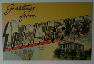 Vintage Linen Postcard Greetings From Tennessee Iris State Flower Nashville
