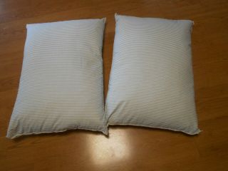 2 Matching Blue And White Striped Feather Bed Pillows And Full