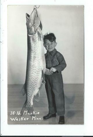 Real Photo Postcard Post Card Walker Minnesota Minn Mn Boy Fishing Muskie 38 Lb