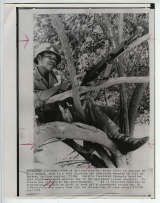 Eddie Adams Vintage 1963 Soldier Sitting In Tree,  Haiti Press Photo