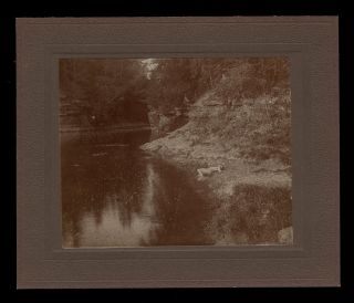 C1890 Photo Male Nude Reclining Along River Or Creek Gorge,  Central York