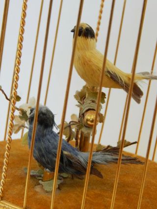 Reuge Two Singing Birds in Gilded Cage Music Box Voliere de la Cour Automaton 11