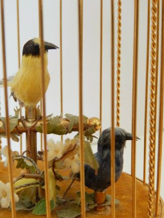 Reuge Two Singing Birds in Gilded Cage Music Box Voliere de la Cour Automaton 12
