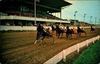 Postcard Harness Horse Racing Charlottetown Raceway Prince Edward Island Canada