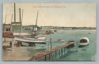 Shore View St.  Petersburg Florida—rare Antique Hand Colored Postcard 1909