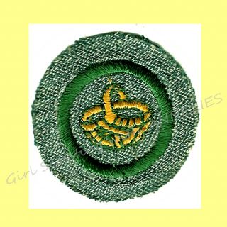 Basketry Intermediate Girl Scout 1940s Euc Badge Basket Weaving Combine Ship