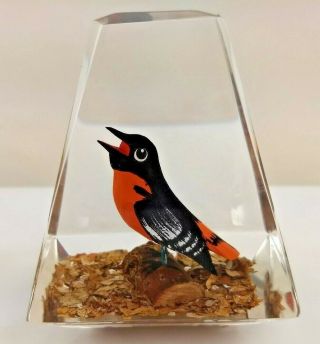 Vintage Unique Canada Hand Carved Painted Wood Oriole Bird Acrylic Paperweight