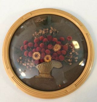 Vintage Curved Convex Picture Dried Flower Arrangement 5” Round Domed Celluloid