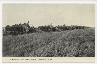 Larimore,  North Dakota.  Binders,  Farming At Elk Valley Farm.  Vintage Postcard